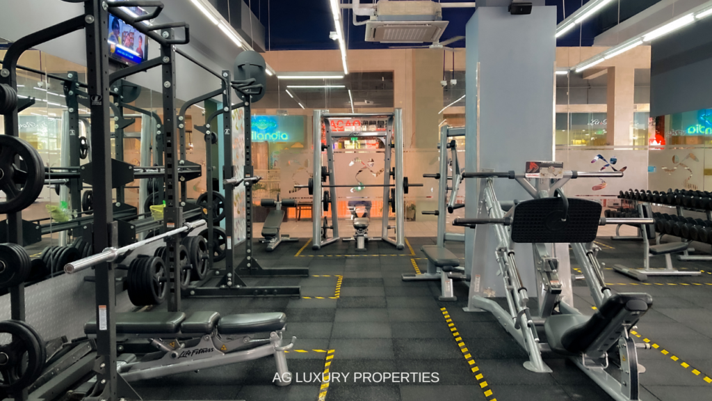The Gym