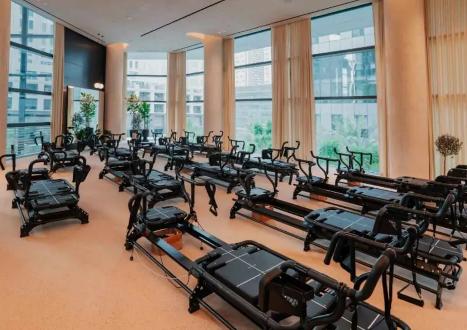 Gym Nation