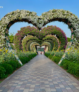 Dubai Miracle Garden