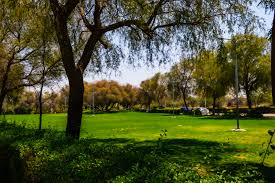 Mushrif Park
