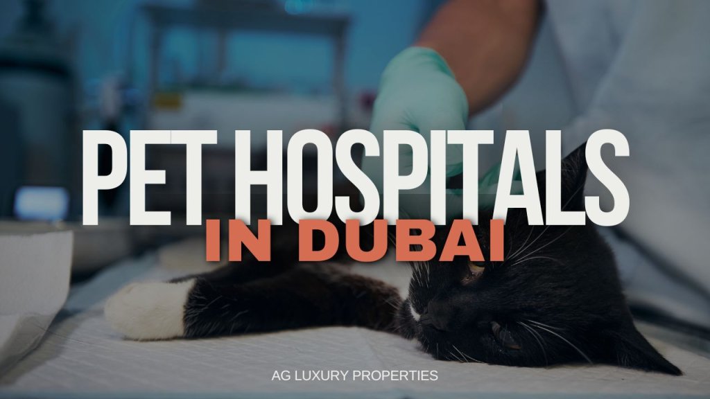 Top 5 Pet Hospitals in Dubai